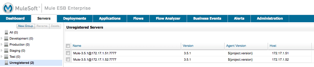 MMC Mule ESB instances