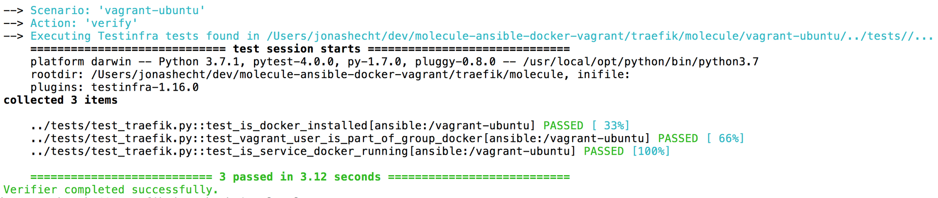 molecule verify with pytest verbose test output