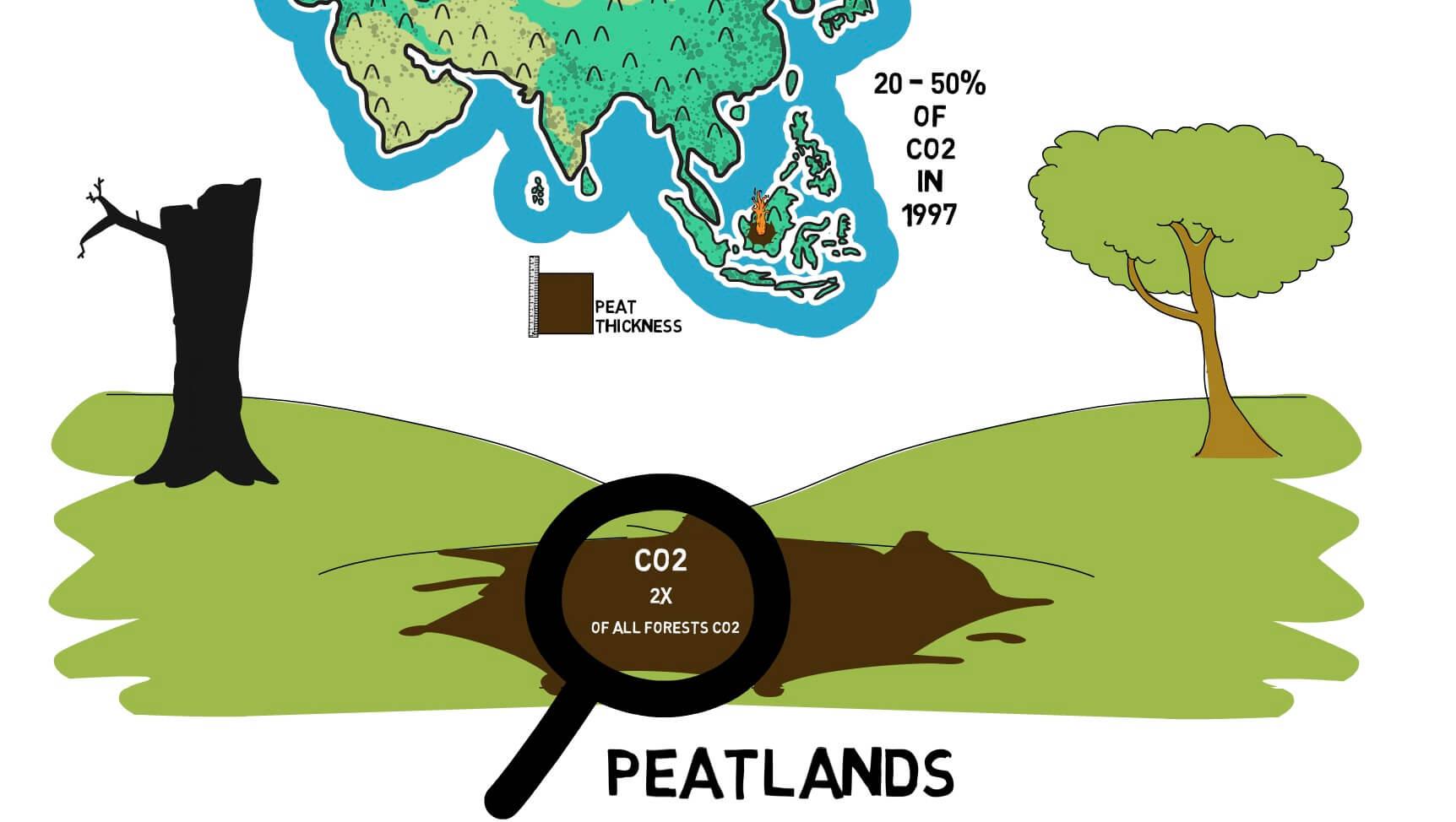 Peatlands