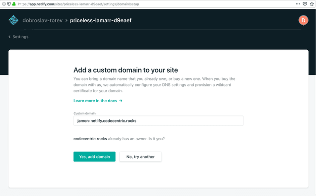 adding a custom domain to your site via the Netlify admin console