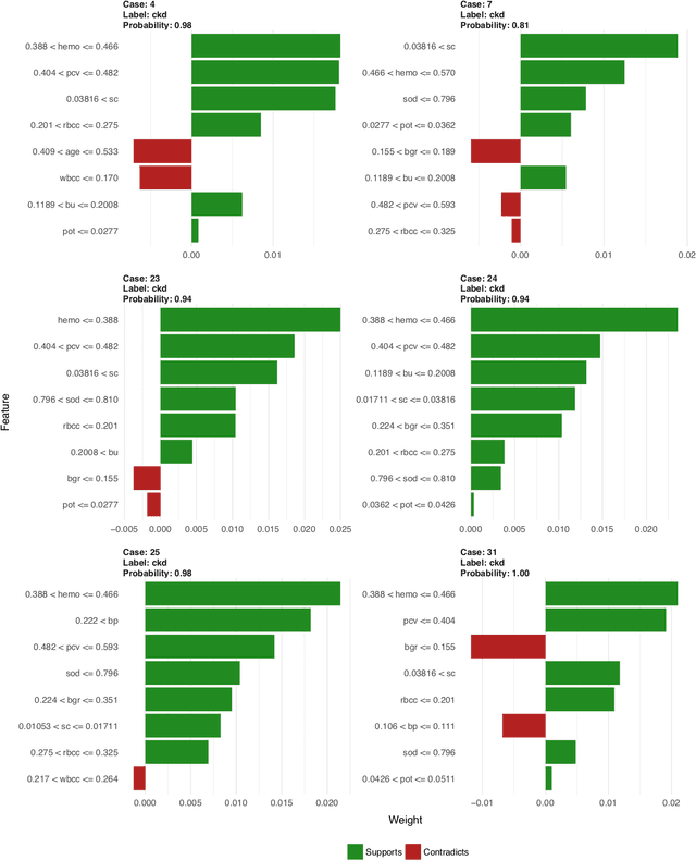 LIME explanations of example machine learning model