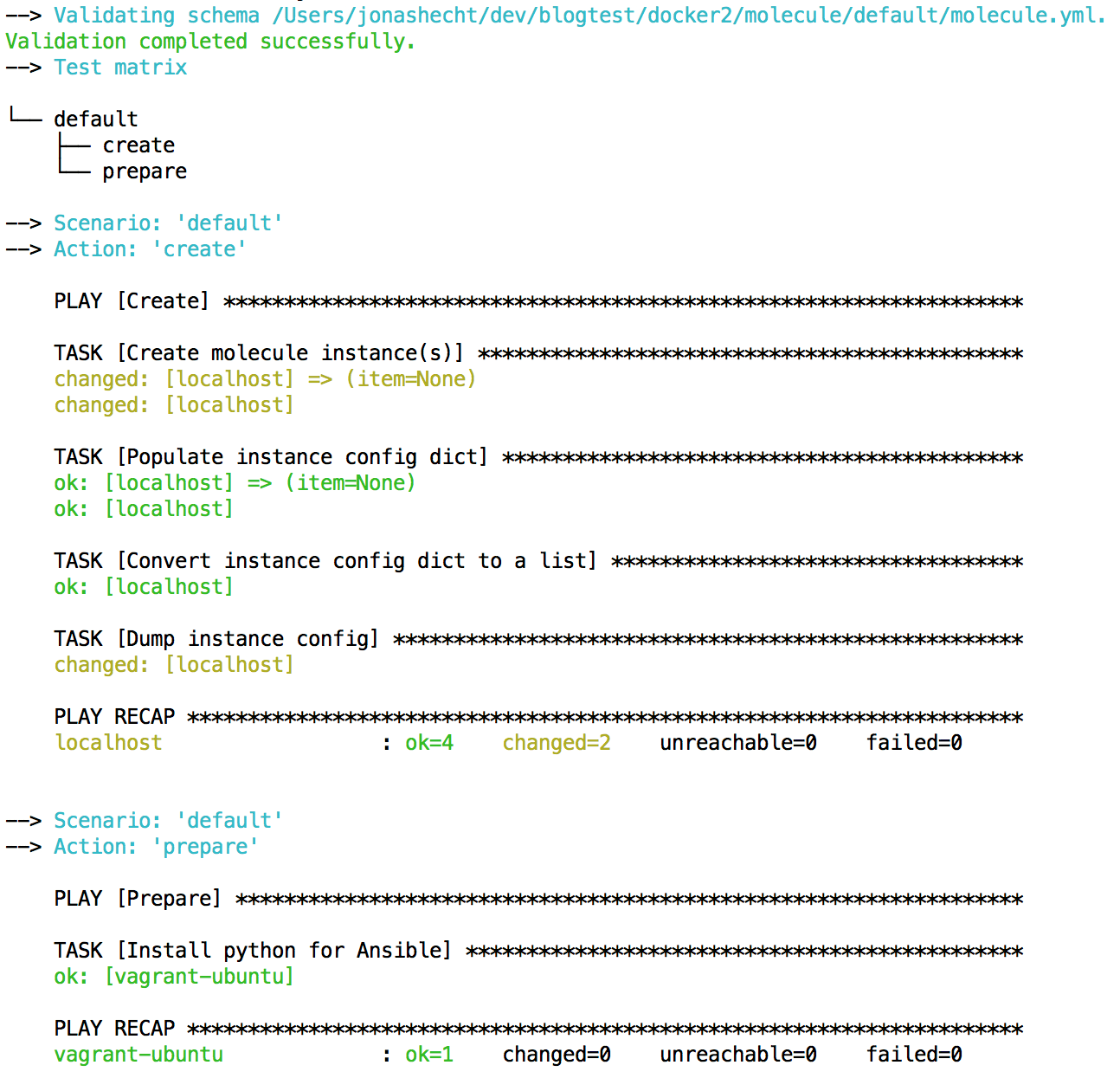 molecule creates vagrant infrastructure