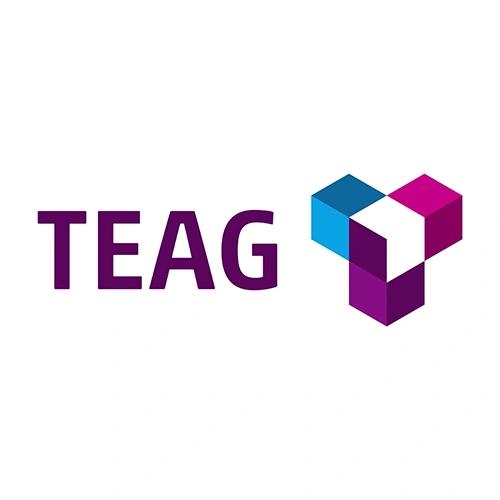 Logo der Firma Teag