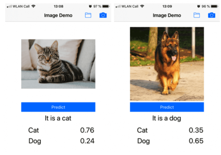 Application that computes probabilities of cats/dogs by using deep learning