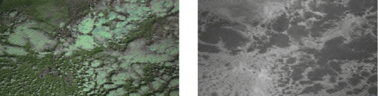 Satellite and thermal image of forest fire